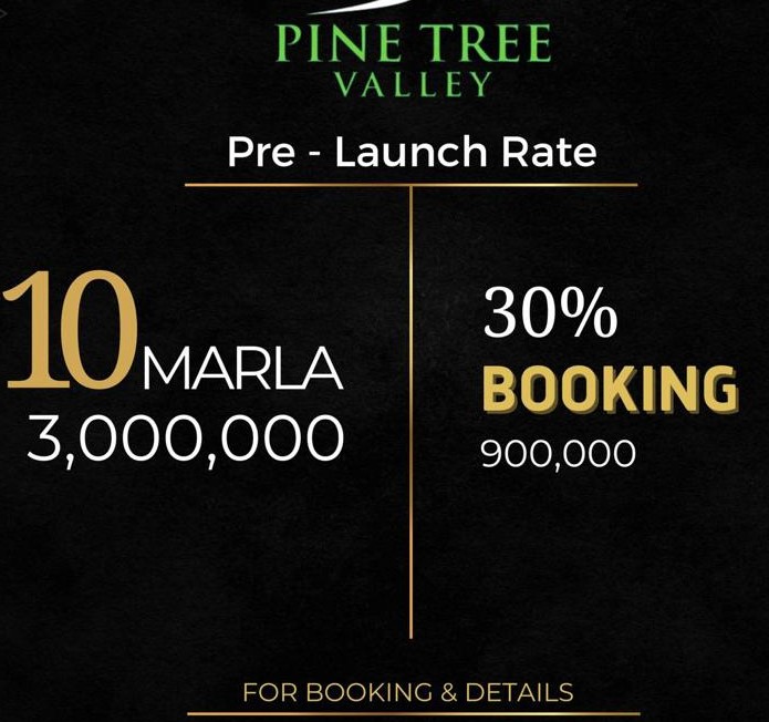 Pine Tree valley |  Murree Expressway