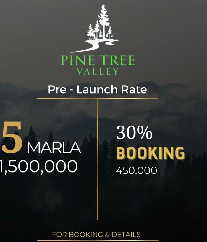 Pine Tree valley |  Murree Expressway