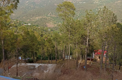 PINE Gardens Murree - Plot with Possession in Snowfall Area in just 675000 by ASCO Properties.