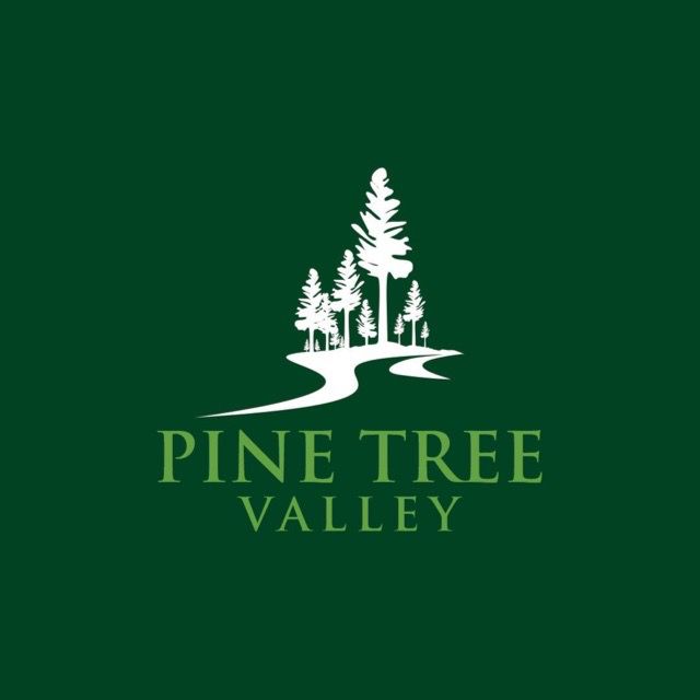 Pine Tree valley |  Murree Expressway