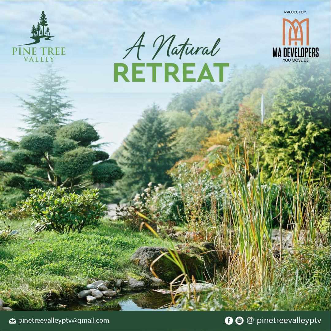 Pine Tree valley |  Murree Expressway