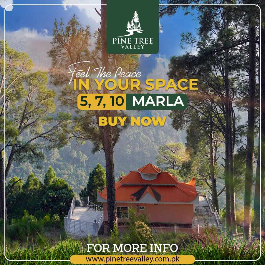 Pine Tree valley |  Murree Expressway