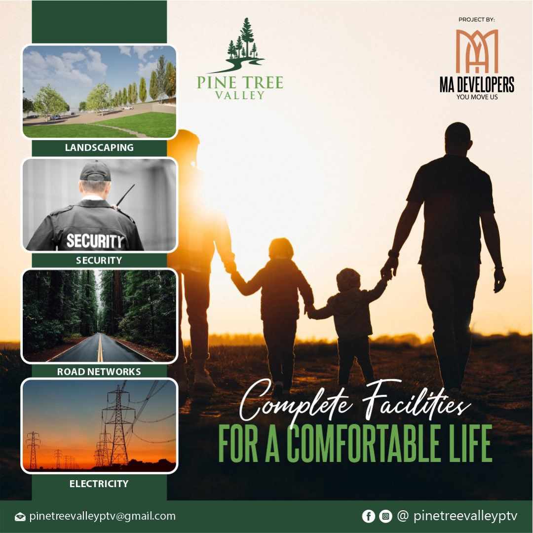 Pine Tree valley |  Murree Expressway