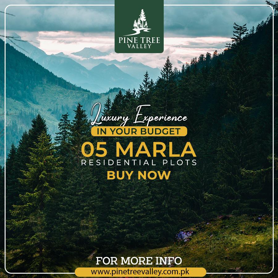 Pine Tree valley |  Murree Expressway
