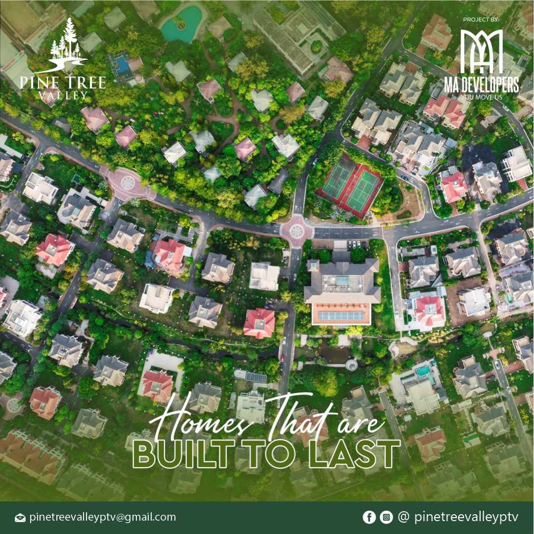 Pine Tree valley |  Murree Expressway