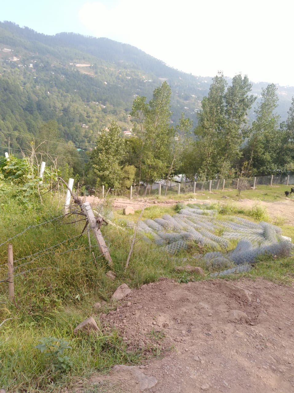 Snow Pines Murree