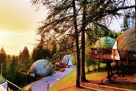 Forest Hills | Pine City | Margalla Hills