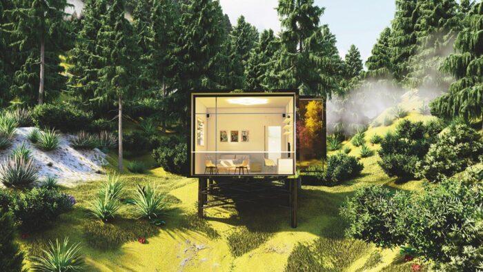 Forest Hills | Pine City | Margalla Hills