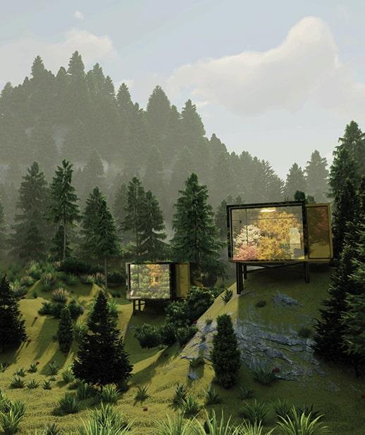 Forest Hills | Pine City | Margalla Hills